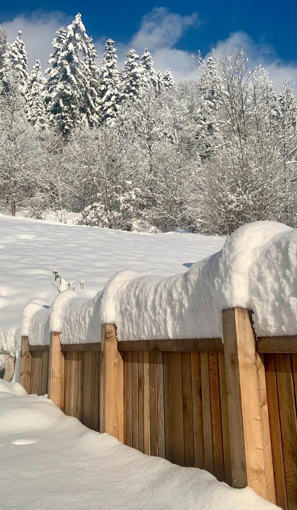 Appartement Naturbunt Söll Dış mekan fotoğraf